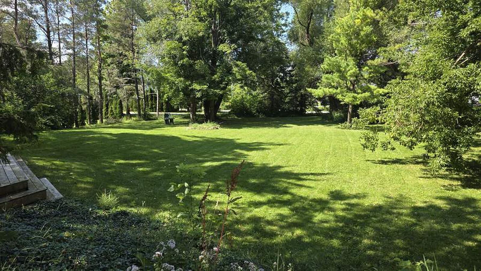 Large shaded lawn under mature hardwoods and pines, freshly cut, with a wooden deck at the edge